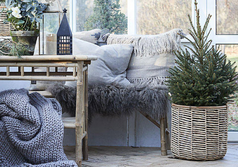 Mongolian Lambskin in Cement Grey by Lene Bjerre Throw Lene Bjerre 