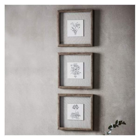 Monochrome Botanical Framed Art Trio W305 x D30 x H305mm Accessories Regency Studio 