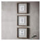 Monochrome Botanical Framed Art Trio W305 x D30 x H305mm Accessories Regency Studio 