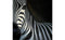 Oil Painting Painting Distinction Furniture 