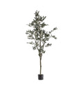 Olive Tree Large Accessories Regency Studio 