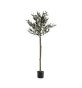 Olive Tree Medium Accessories Regency Studio 