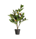 Orange Tree with 5 Fruits Accessories Regency Studio 