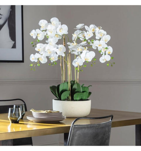 Orchid Bowl White Large Accessories Regency Studio 