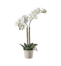 Orchid White with Ceramic Pot Accessories Regency Studio 
