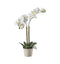 Orchid White with Ceramic Pot Accessories Regency Studio 
