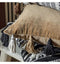 Ottovallo Tassel Cushion Camel Accessories Regency Studio 