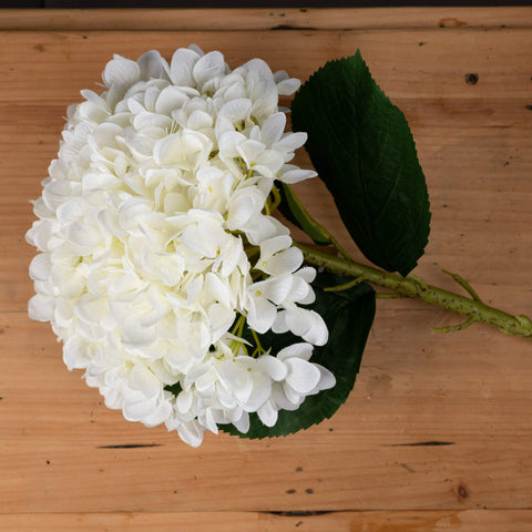 Oversized White Hydrangea Accessories Hill Interiors 