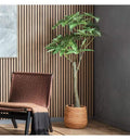 Pachira Tree Accessories Regency Studio 