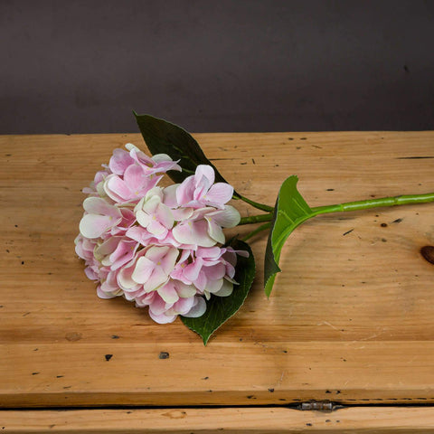 Pale Pink Classic Hydrangea Accessories Hill Interiors 