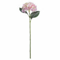 Pale Pink Classic Hydrangea Accessories Hill Interiors 