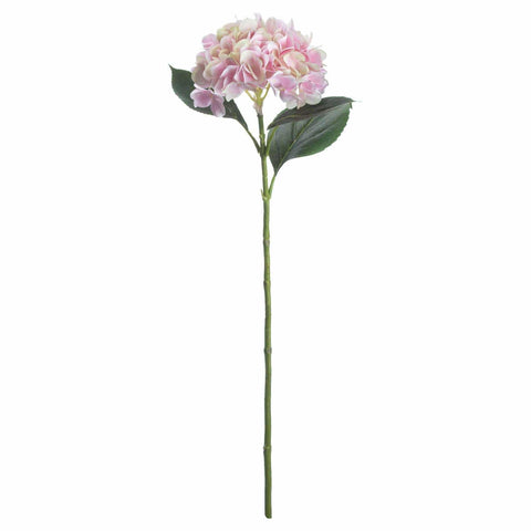 Pale Pink Classic Hydrangea Accessories Hill Interiors 