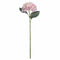 Pale Pink Classic Hydrangea Accessories Hill Interiors 