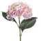 Pale Pink Classic Hydrangea Accessories Hill Interiors 