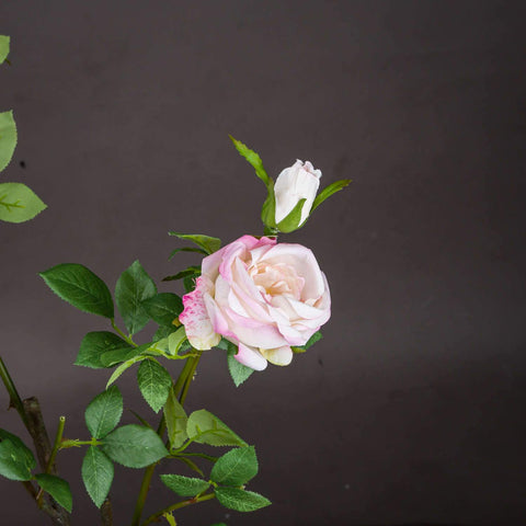 Pale Pink Garden Rose Spray Accessories Hill Interiors 