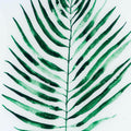 Palm Glass Image In Gold Frame Accessories Hill Interiors 