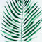 Palm Glass Image In Gold Frame Accessories Hill Interiors 