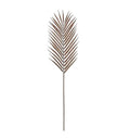 Palm Stem (6pk) Brown Accessories Regency Studio 