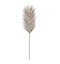 Palm Stem (6pk) Brown Accessories Regency Studio 