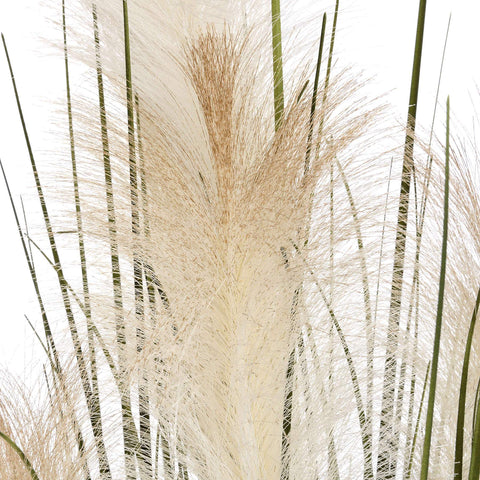 Pampas Grass Bush Accessories Hill Interiors 
