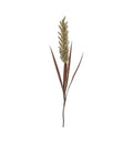 Pampas Spray Wheat/Russet Accessories Regency Studio 