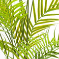 Parasdise Potted Palm Accessories Hill Interiors 