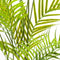 Parasdise Potted Palm Accessories Hill Interiors 