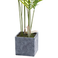 Parasdise Potted Palm Accessories Hill Interiors 