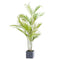 Parasdise Potted Palm Accessories Hill Interiors 