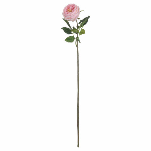 Pastel Pink Portland Rose Accessories Hill Interiors 
