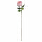 Pastel Pink Portland Rose Accessories Hill Interiors 