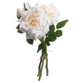 Peachy Cream Short Stem Rose Bouquet Accessories Hill Interiors 