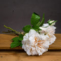Peachy Cream Short Stem Rose Bouquet Accessories Hill Interiors 
