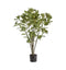 Perilla Tree Accessories Regency Studio 