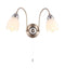 Petal 2 Wall Light Satin Chrome Lighting Regency Studio 