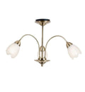Petal 3 Ceiling Lamp Antique Brass Lighting Regency Studio 