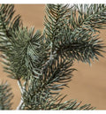 Pine Spray (3pk) Green Accessories Regency Studio 