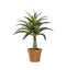 Potted Agave Accessories Regency Studio 