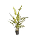 Potted Fern Bracken Large Accessories Regency Studio 