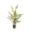 Potted Fern Bracken Large Accessories Regency Studio 