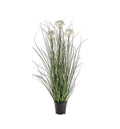 Potted Grass with 4 Heads White Accessories Regency Studio 