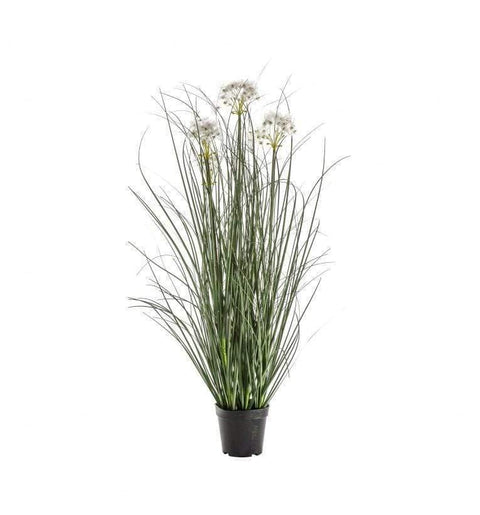 Potted Grass with 4 Heads White Accessories Regency Studio 
