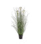 Potted Grass with 4 Heads White Accessories Regency Studio 