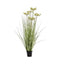 Potted Grass with 5 Heads Green/Yellow Accessories Regency Studio 