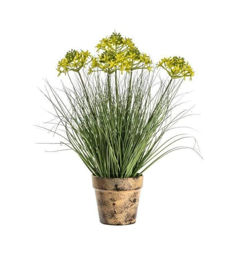 Potted Grass with 5 Heads Yellow Accessories Regency Studio 