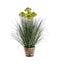 Potted Grass with 7 Heads Yellow Accessories Regency Studio 