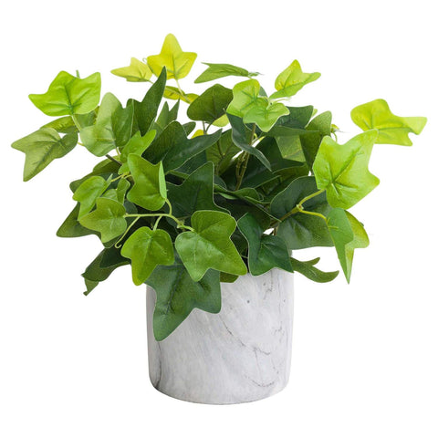 Potted Ivy House Plant Accessories Hill Interiors 