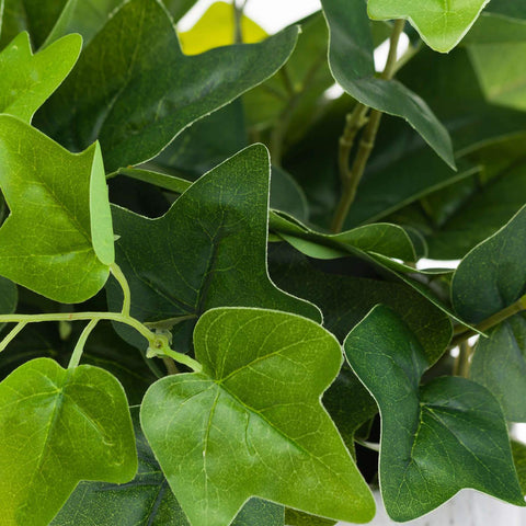 Potted Ivy House Plant Accessories Hill Interiors 
