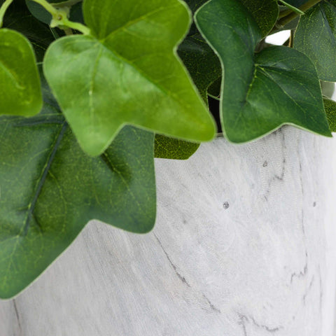 Potted Ivy House Plant Accessories Hill Interiors 