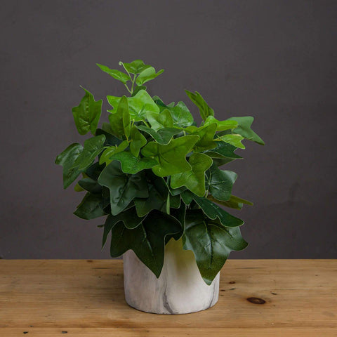 Potted Ivy House Plant Accessories Hill Interiors 